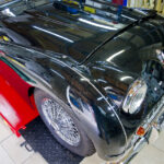 TR3A Kotfluegel rechts schraeg