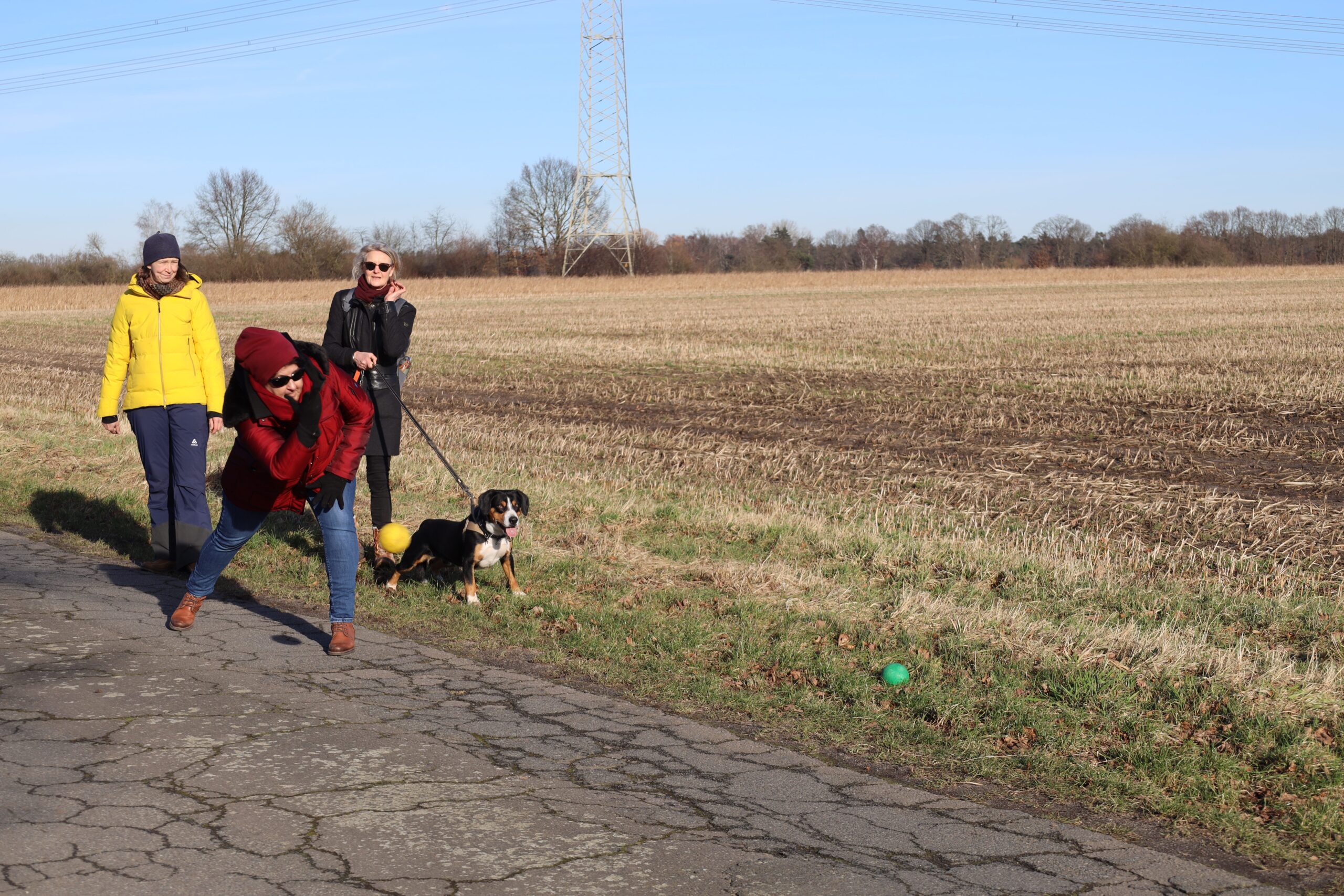 20240129_0376_www-ritterimages-com