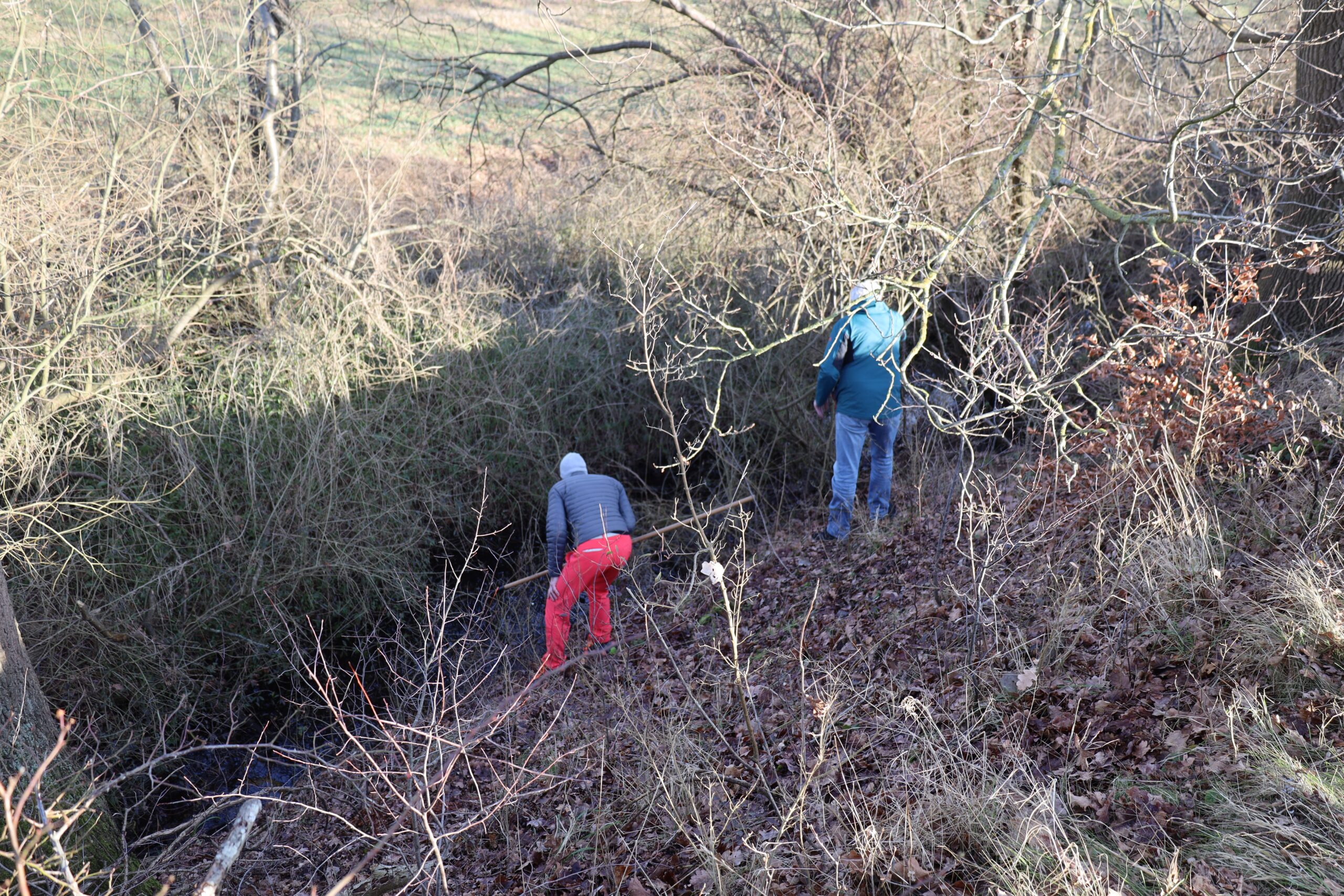 20240129_0406_www-ritterimages-com